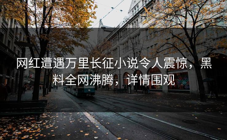 网红遭遇万里长征小说令人震惊，黑料全网沸腾，详情围观  第1张