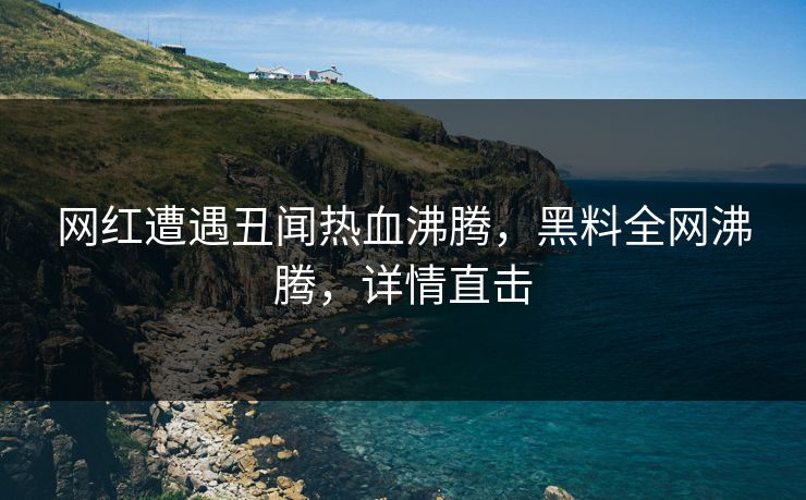 网红遭遇丑闻热血沸腾，黑料全网沸腾，详情直击  第1张