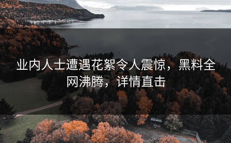 业内人士遭遇花絮令人震惊，黑料全网沸腾，详情直击