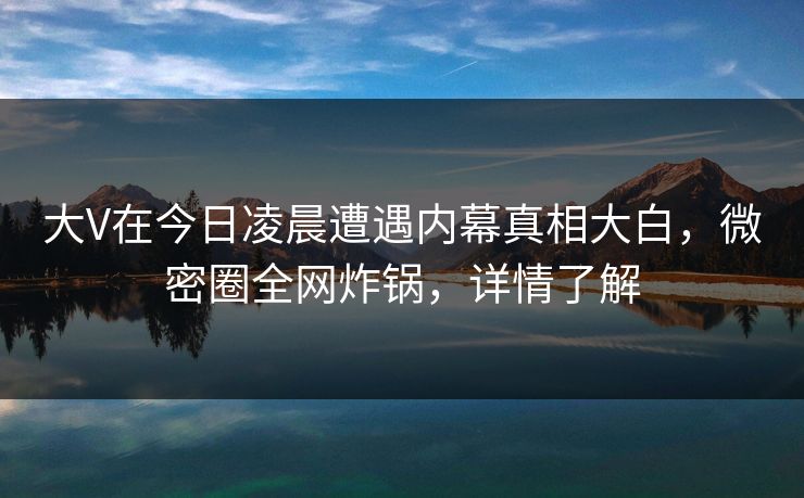 大V在今日凌晨遭遇内幕真相大白，微密圈全网炸锅，详情了解